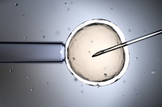 Swiss Evangelical Alliance opposes egg donation plans for women in Switzerland