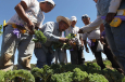 Evangelical body welcomes US pause on deporting immigrant laborers in agriculture and hospitality