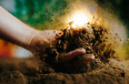 The wonder beneath our feet