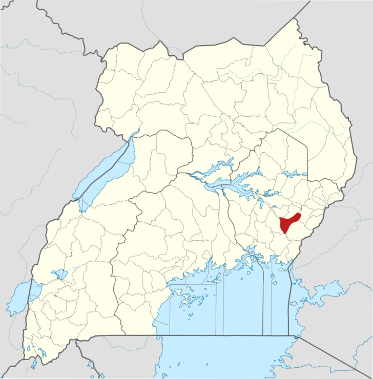 Location of Butaleja District, Uganda.