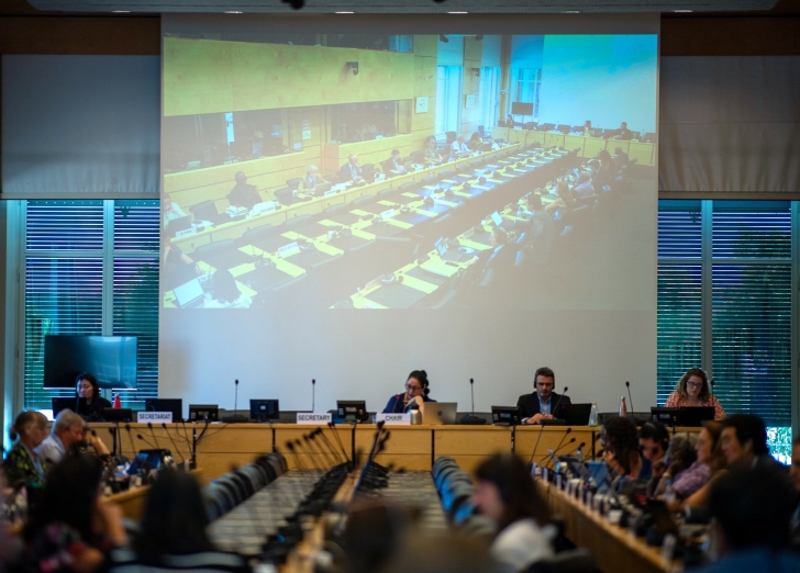Committee on Civil and Political Rights review of Pakistan’s human rights record in Geneva, Switzerland on Oct. 17-18, 2024. 