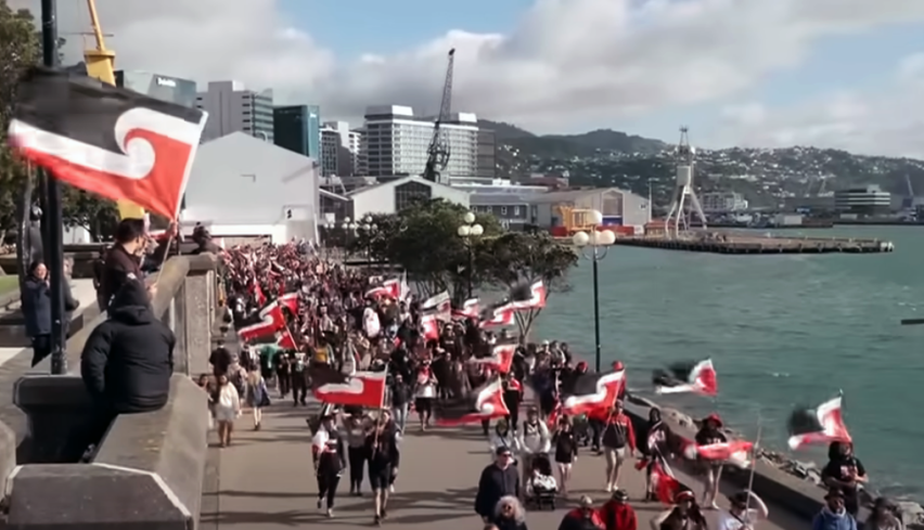 Thousands take part in Māori protests in New Zealands capital in November 2024