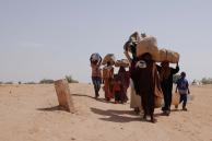 Newly arrived refugees fleeing fighting in Darfur arrive at the border between Sudan and Chad on April 22, 2024 in Adre, Chad
