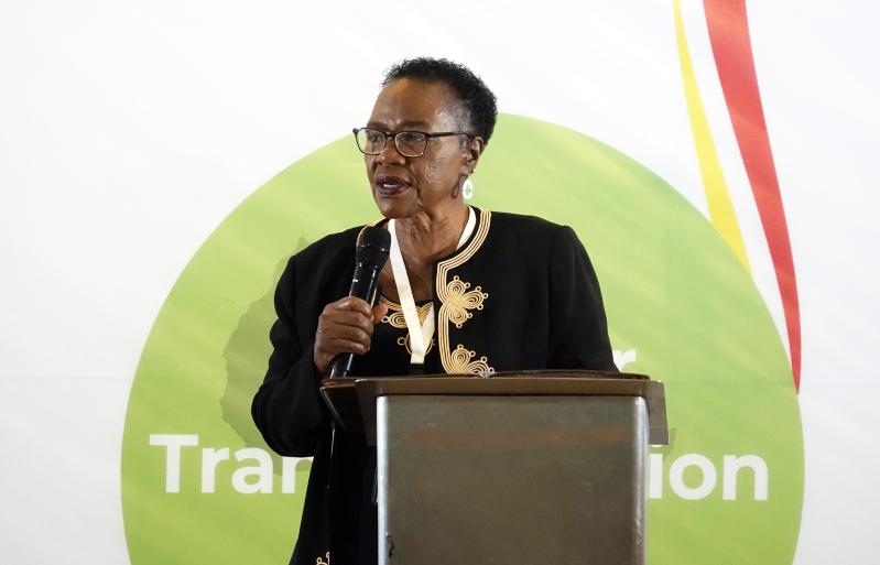 Professor Marvelous Mhloyi addresses the 13th General Assembly of the Association of Evangelicals in Africa in Nairobi, Kenya