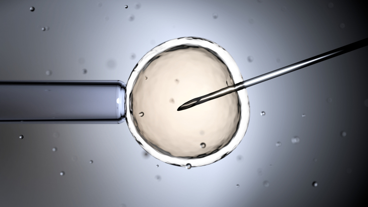 Swiss Evangelical Alliance opposes egg donation plans for women in Switzerland