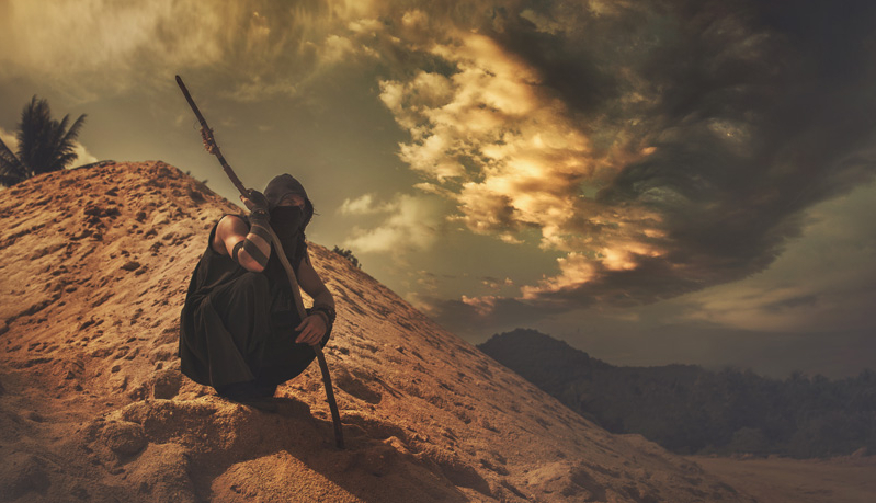 Desert Wanderer