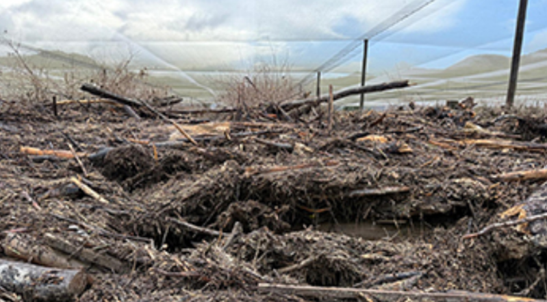 Evangelical group in New Zealand issues prayer call after thousands of homes lose power in Nelson Tasman region following torrential rain events