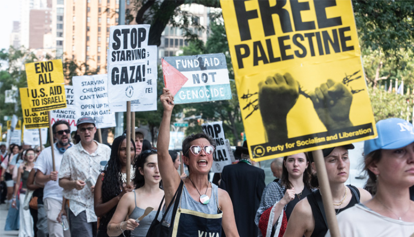 Palestinian Protest at UN