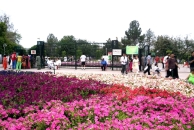 Model Town Park in Lahore, Pakistan.
