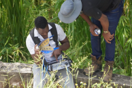 Attempts to block anti-corruption probe in Jamaica undermines public trust, says church organizations