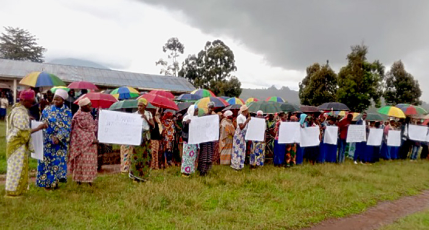 Protest line