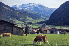 Farmers often begin barn work before dawn, making traditional Sunday morning services difficult to attend — a reality that inspired the creation of the “Puure-Church” in the St. Gallen Rhine Valley, Switzerland.