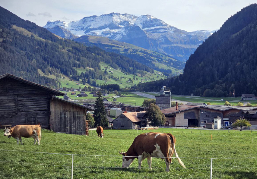 Farmers often begin barn work before dawn, making traditional Sunday morning services difficult to attend — a reality that inspired the creation of the “Puure-Church” in the St. Gallen Rhine Valley, Switzerland.