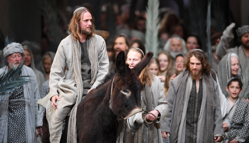 Triumphal entry