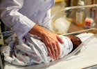newborn