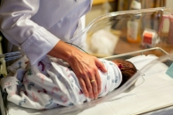 newborn