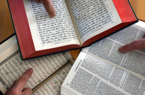 Holy Text Perspectives