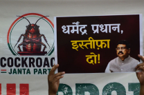 A supporter of the Cockroach Janta Party (CJP) holds placards featuring the groups logo and calling for the resignation of the Education Minister during a protest against alleged examination paper leaks on June 06, 2026 in New Delhi, India