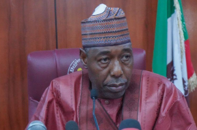 Borno State Governor
