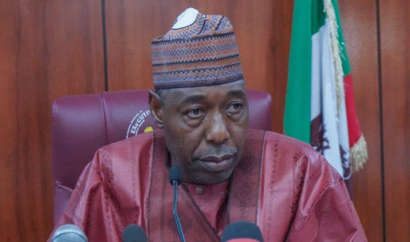 Borno State Governor