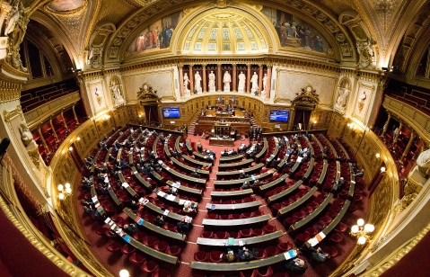 French senate