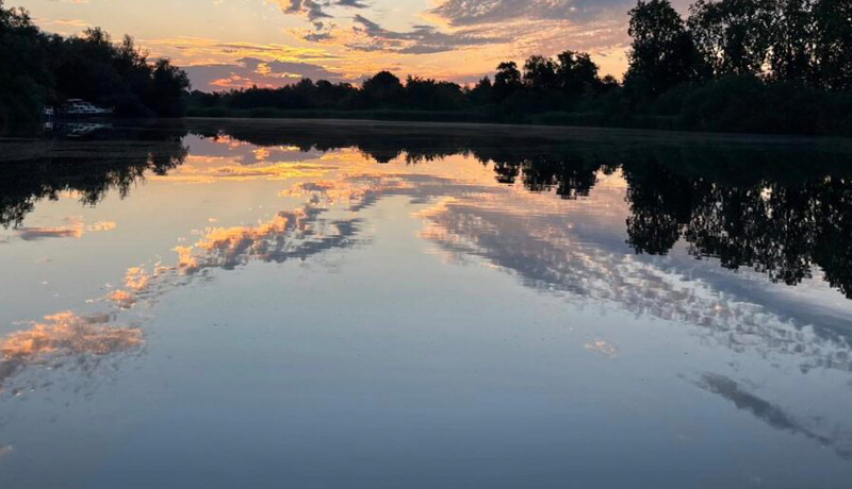 Water Reflections