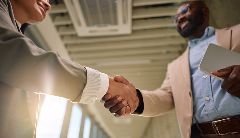 Intercultural Handshake