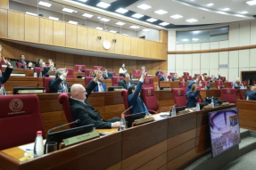 The Paraguayan Senate