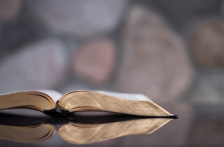 Can students share the Bible with their classmates on 'Bring Your Bible To School Day'?