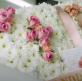 Over 100 attend baby Indi Gregory's funeral; father says God used her to 'expose evil'