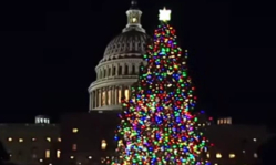 US Capitol Christmas Tree guidelines no longer ban religious ornaments, Christian group says