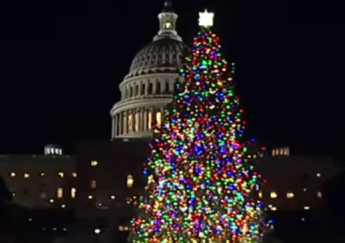 US Capitol Christmas Tree guidelines no longer ban religious ornaments, Christian group says