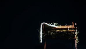 God chose to come into this world without status or power