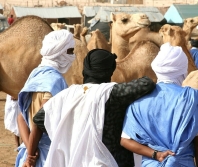 Mauritania releases Christians arrested after baptism video
