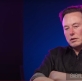 Elon Musk agrees Western civilization 'absolutely screwed' without Christianity