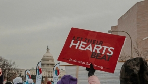 Abortion was the leading cause of death worldwide in 2023
