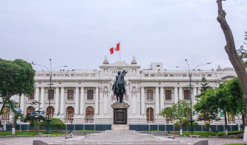 Protection from the moment of conception: dynamics behind the success of Peru's pro-life movement