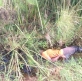 Young Christian woman killed by Muslim family member