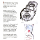 Oppressed Christians in Middle East find healing through art