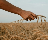 World Refugee Sunday on June 16 & 23 reminds us of God's heart for the forcibly displaced: 
