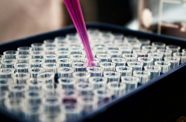 Southern Baptist resolution on IVF meant to help navigate ethical considerations in reproductive technologies, scholar says