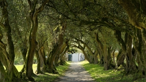 Emissaries of the way