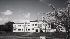 Devastating report unveils decades of abuse and neglect by state and Christian institutions in New Zealand