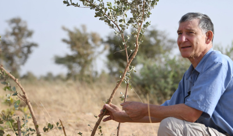 An Australian farmer's gift to the world