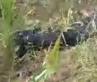 Christian slain with swords by Muslim extremists in Uganda