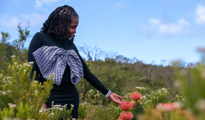 Word and works witnessing with environmental acts