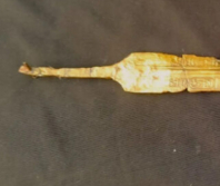 Egyptian archeologists discover fortress, sword possibly from Pharaoh during Exodus period