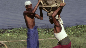 Today's International Day for the Eradication of Poverty highlights need to tackle institutional maltreatment
