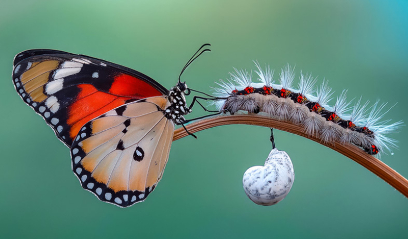 The crossing of boundaries should be a normative experience as Christians grow and mature