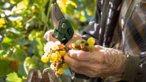 Rethinking our growth obsession through a sustainability lens